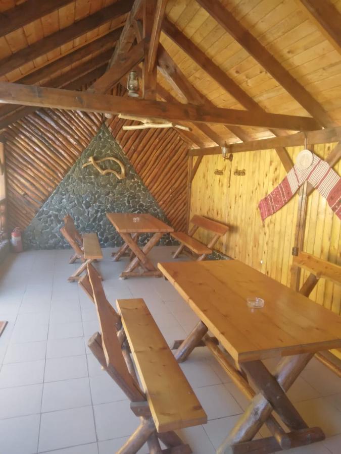 Pensiunea Bujor De Munte Cartisoara Exterior photo