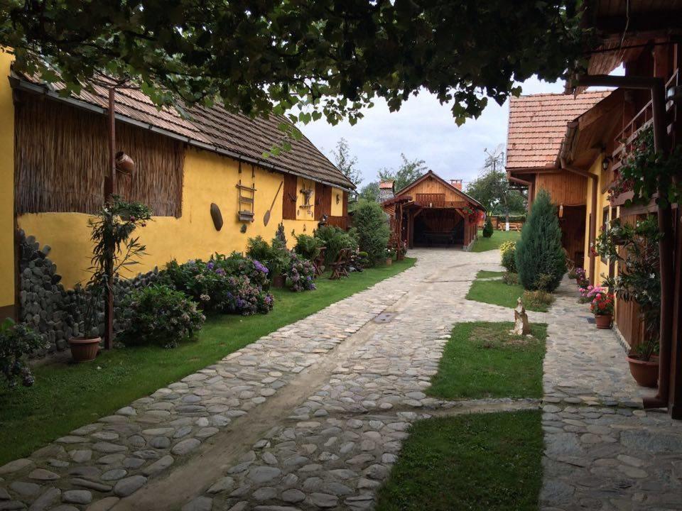 Pensiunea Bujor De Munte Cartisoara Exterior photo